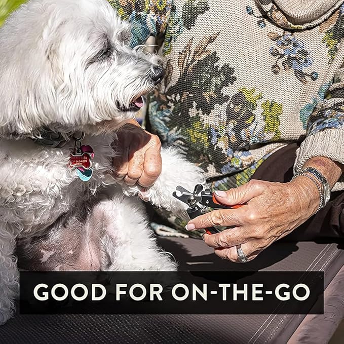 Pet Care Pedicure Kit for Dogs, Cats, Birds and Reptiles - Nail Clippers, File and Scissors Style Clippers Plus Case (2 Miller's Forge Nail Clippers, Small Scissors Style Clipper and One Nail File)