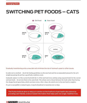 Purina Pro Plan Sensitive Skin and Stomach Dry Cat Food Turkey and Oat Meal Formula - 12.5 lb. Bag