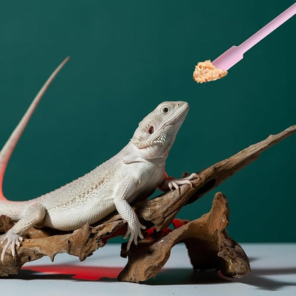 4Pcs Reptile Feeding Spoon Crested Gecko Food Mixing Spoon fit Lizard Gargoyle Bearded Dragon