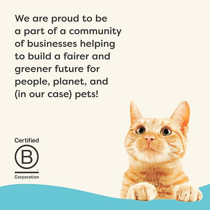 Applaws Vitality Wet Cat Food in Broth, Natural Cat Food with Added Vitamins & Minerals, Grain-Free, Carrageenan Free, Tuna Fillet in Broth (24 Count, 2.47 oz Cans)