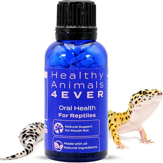 HA4E - Reptile Oral Health Support - Natural Mouth Rot Relief & Oral Hygiene Formula - Supports Gum Health, Comfort & Healing - 300 Tablets