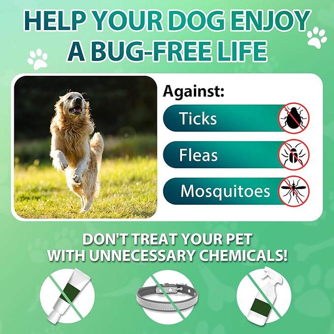 Flea and Tick Prevention for Dogs Chewables - 200 Soft Chews Natural Dog Flea and Tick Chewables, Oral Flea Supplement for Dogs, Puppy Flea Support - All Breeds & Ages - Chicken Flavor