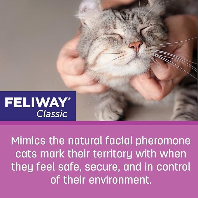 FELIWAY Classic 30 Day Cat Calming Plug In Pheromone Diffuser Starter Kit, 48ml - Helps Reduce Common Signs of Stress in Cats & Kittens, Enhanced Calming