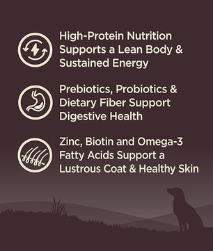 Wellness CORE Grain-Free High-Protein Dry Dog Food, Natural Ingredients, Made in USA with Real Meat, All Breeds, For Adult Dogs (Original Turkey & Chicken, 12-Pound Bag)