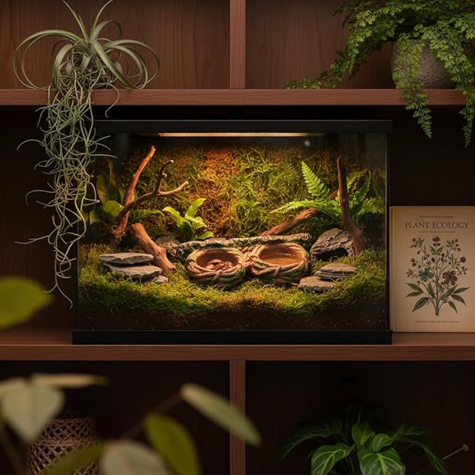 Magnetic Reptile Feeding Ledge, Gecko Feeder Ledge with One Piece Cup, Hollow Vine Food Dish, Reptile Water Bowl for Bearded Dragon Lizard Snake