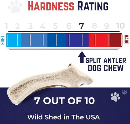 Devil Dog Pet Co. Split Elk Antlers for Dogs, Small 4"+, 2 Pack, Grade A Long Lasting Chew for Aggressive Chewers, Premium USA Naturally Shed Antler – Healthy, No Odor, Durable Dog Chew