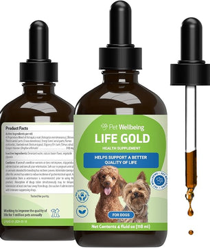 Life Gold for Dogs - Supports Detoxification, Immune System Health, Antioxidants - Vet-Formulated Herbal Supplement – 4 oz (118 ml)