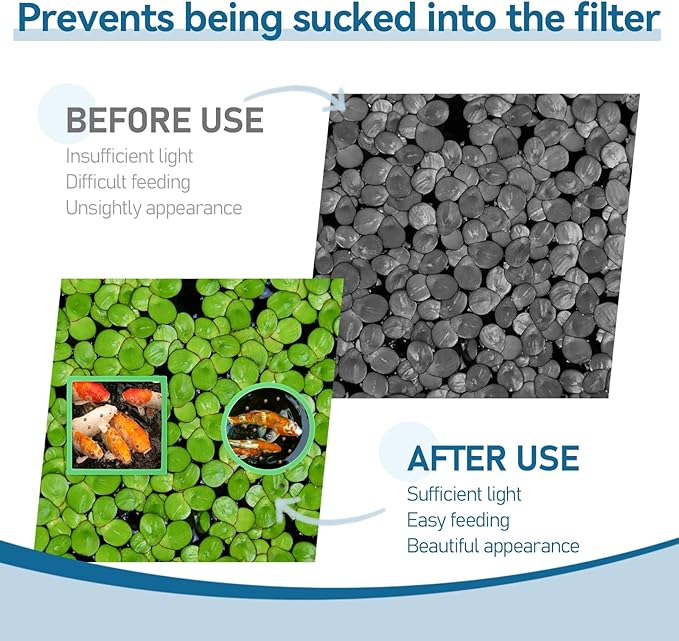 Bewudy 10PCS Fish Feeding Rings Sets, Aquarium Floating Plant Corral Fish Tank Feeding Circle Aquarium Feed Circle Round Feeder Ring Square Floating Plant Ring for Intercepts Float Plants(Green)