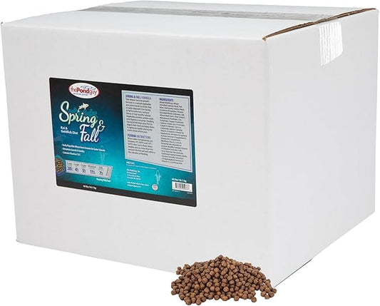 The Pond Guy Spring & Fall Wheat Germ Fish Food for Koi & Goldfish, Premium Cold Weather Floating Pellets, Healthy Formula for Winter Nutrition, 40 lbs