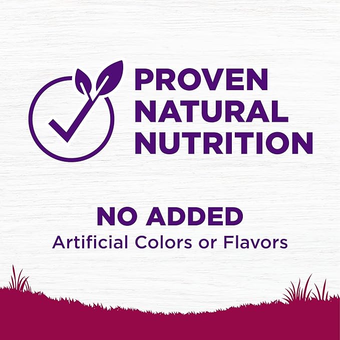 Wellness Complete Health Dry Dog Food, Small Breed, Grain Free, Natural, Turkey, Chicken, & Salmon Recipe (11-Pound Bag)