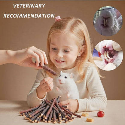 Bunny Chew Stick Rabbit Toy Treat 400g 4 in 1 Molar Stuff 100% Organic Natural Snack Apple Branch Sweet Bamboo Timothy Hay Alfalfa Food Clean Teeth Hamster Chinchilla Parrot Gerbil Squirrel