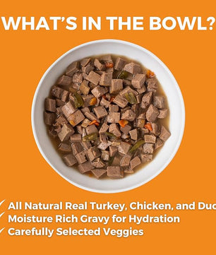 KOHA Big Easy Feast Stew for Dogs with Turkey, Chicken, and Duck, High Protein Wet Dog Food, 12.7oz Cans (Case of 12)