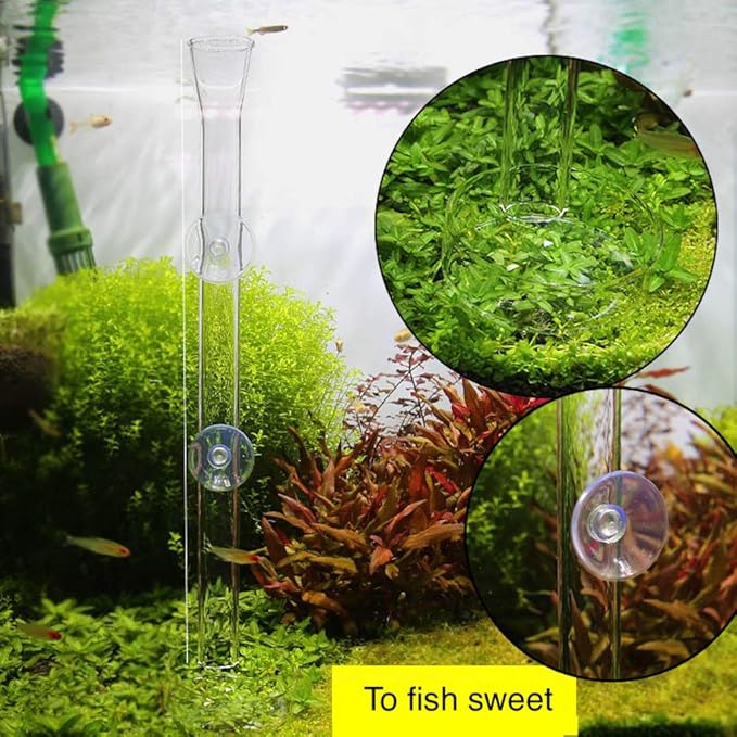 Shrimp Feeding Tube and Dish,Clear Crystal Glass Shrimp Feeder Tube Tray for Fish Tank Aquarium Shrimp (10")