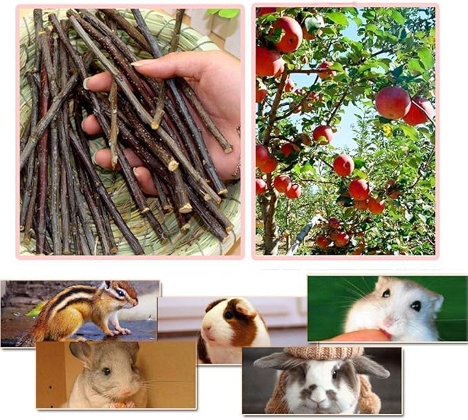 William Craft Apple Sticks Pet Chew Toy Treats for Chinchilla Guinea Pigs Rabbits Squirrel Hamster Bunny