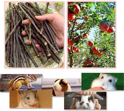 William Craft Apple Sticks Pet Chew Toy Treats for Chinchilla Guinea Pigs Rabbits Squirrel Hamster Bunny