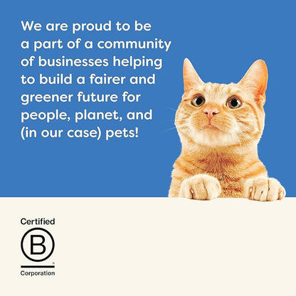 Applaws Natural Wet Canned Cat Food, Limited and Natural Ingredients, High Protein with No Artificial Additives, Mackerel & Sardine in Broth (24 x 2.47oz Cans)