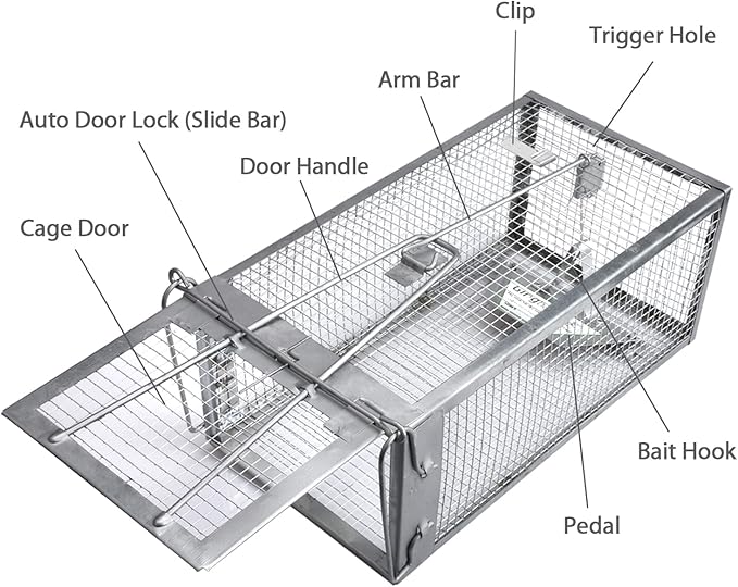 Gingbau 2-Pack Chipmunk Traps Humane Live Mouse Rat Cage Traps for Indoors and Outdoors