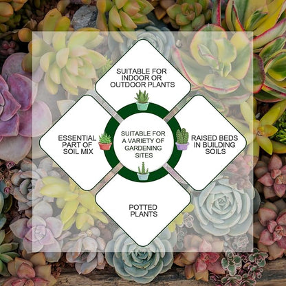 2 LBS Yellow Pea Gravel, Natural Succulent and Cactus Gravel Pebbles, Pebbles for Indoor Plants, Natural Gardens Mulching, for Houseplants, for Aquarium Gravel, to Maintain Soil Aeration(4-6mm)