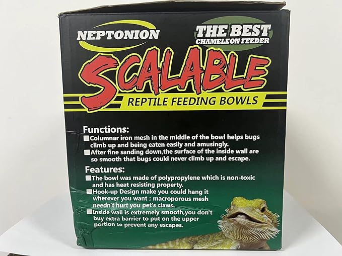 Hookable Chameleon Feeding Bowl, Professional Live Worm Organizer with Column for Prey to Climb and Move, Suitable for Lizard, Bearded Dragon, Iguana, Gecko, Toad, Frog