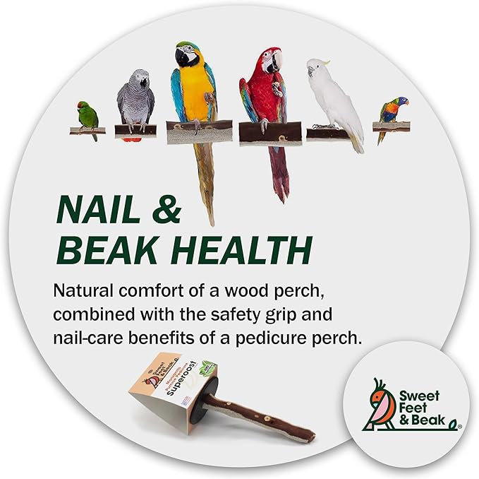 Superoost Manzanita Pumice Pedicure Perch- Easy to Install Bird Cage Accessories for Healthy Feet, Nails and Beak - Natural Bird Perches Imitates Birds' Life in The Wild - XL 14"