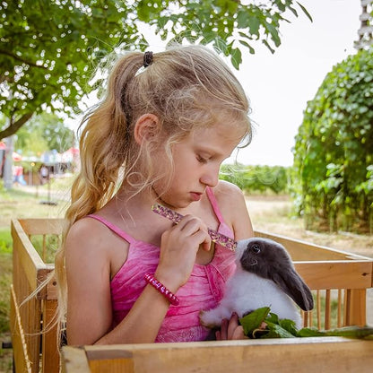 Sofier Timothy Hay Treats Rabbit Toys Bunny Toys Guinea Pig Hamster Natural Chews for Teeth Handmade Rabbit Chews and Treats Chinchilla Rat Gerbil