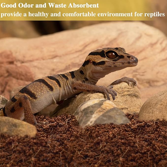 ZeeDix 6 Pack Coconut Fiber Substrate for Reptiles, 100% Organic Coco Coir Fiber Brick Reptile Substrate, Coconut Husk Terrarium Bedding for Reptiles, Bearded Dragon, Tortoise, Leopard Gecko, Snake