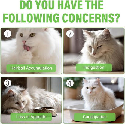 Natural Cat Grass Treats for Indoor Cats | Salmon & Catnip Dental Snacks | Hairball Control & Teeth Cleaning | Freeze-Dried Training Rewards