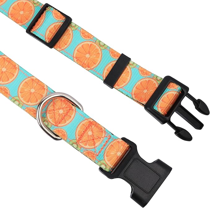 Reflective Dog Collar, Adjustable Soft Neoprene Padded Nylon Pet Collars with Buckle for Puppy and Small Dogs, Cats, Summer Lemon,M