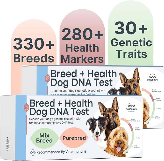 Basepaws Dog DNA Test Kit 2 Pack - 330+ Breeds, 280+ Health Risks, and 30+ Traits - Comprehensive Mixed Breed Identification, Pet DNA Test kit, Canine Genetic Ancestry and Heritage