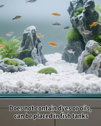 12LB White Succulent & Cactus Gravel Pebbles - 1/4-3/8 Inch Natural Polished River Rocks, Decorative Stones for Plants, Terrariums, Vases, Aquariums & Outdoor Gardening