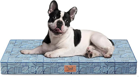 Outdoor Dog Bed for Medium/Small Dogs, Waterproof Dog Bed for Medium Dogs Cats, Orthopedic Egg Crate Foam Pet Bed with Washable Removable Oxford Cover, White Blue