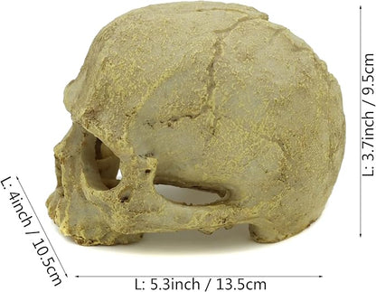 JIHAQUA Aquarium Resin Skull, Reptile Tank Accessories Ornament Basking Snake Hide Decor Habitat