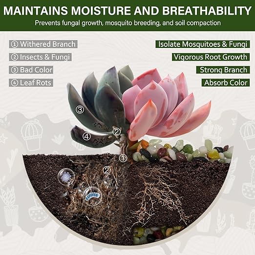 NUPICK 6 lbs Pebbles for Indoor Plants, 3/8 Inch Pea Gravel for Fish Tank, Polished Decorative Rocks for Succulent, Natural River Stones for Vases, Cactus, Landscaping, Bird Bath, Aquarium, Colorful