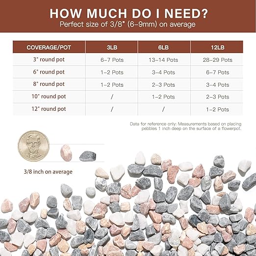 NUPICK 12 lbs Pebbles for Indoor Plants, 3/8 Inch Pea Gravel for Fish Tank, Decorative Rocks for Succulent, Natural River Stones for Vases, Cactus, Landscaping, Bird Bath, Aquarium, Mixed