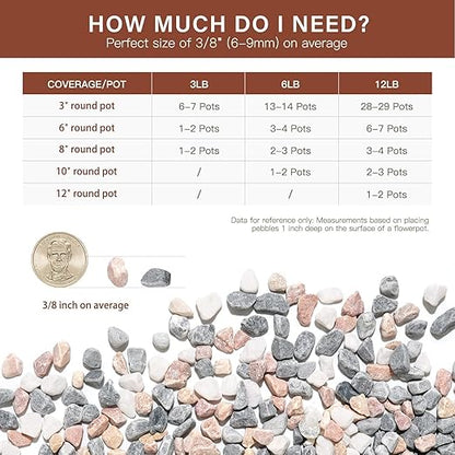NUPICK 12 lbs Pebbles for Indoor Plants, 3/8 Inch Pea Gravel for Fish Tank, Decorative Rocks for Succulent, Natural River Stones for Vases, Cactus, Landscaping, Bird Bath, Aquarium, Mixed