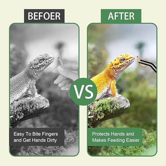 Reptile Feeding Tongs Kit, 2Pcs Extra Long Stainless Steel Reptile Feeding Tongs, 1Pcs Feeding Spoon, Small Animal Feeder Tool for Lizards, Crested Geckos, Bearded Dragons