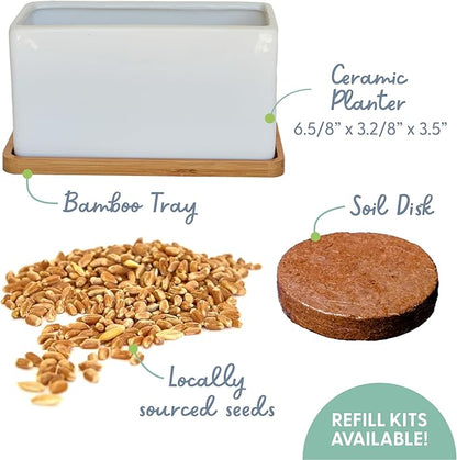 The Cat Ladies Organic Cat Grass Growing kit with Organic Seed Mix, Soil and Ceramic Planter with Bamboo Tray. Natural Hairball Control and Remedy for Cats