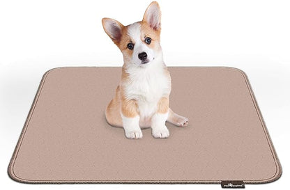 Paw Inspired Washable Pee Pads for Dogs (2 Pack), Leakproof, Non-Slip Reusable Puppy Pads for Potty Training, Whelping, Waterproof Mat (32x30 Inch, Pack of 2)