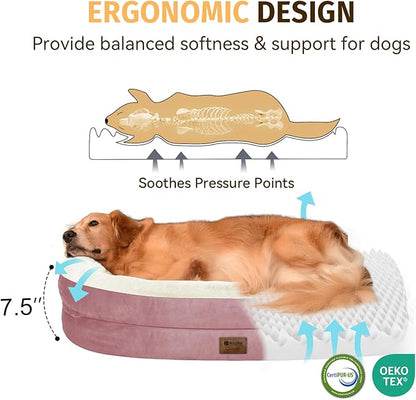 Orthopedic Waterproof Large Memory Foam Dog Bed: Washable Dog Bed with Bolsters - XXL Orthopedic Removable Cover for Medium Large Sized Pet - Non-Slip Bottom - Pink