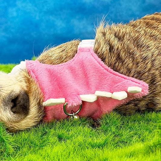 Ferret Harness and Leash Set Small Animals Vest Harness with Safe Bell Dinosaur Shaped Walking Clothes for Baby Rabbit Guinea Pig Teacup Chihuahua Mouse and Other Small pet (Pink)