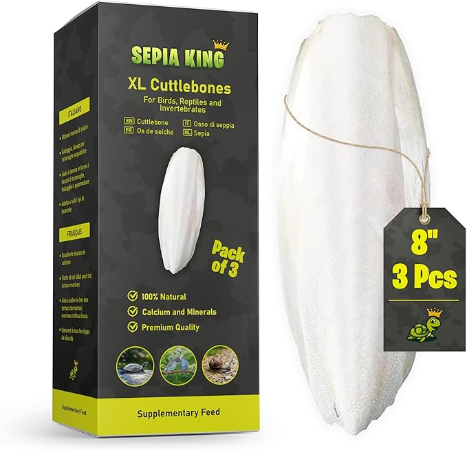 Extra Large - 100% Natural Calcium Supplement - Premium Cuttlebone Perfect for Birds, Tortoises, Snails, Reptiles - Pack of 3