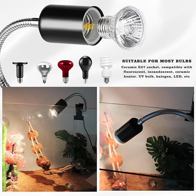 Reptile Tank Accessories, Reptile Heat Lamp with Clamp and 2 Bulb (25W + 50W) , Hermit Crab Heater, Tortoise Habitat Accessories, Turtle Heat Lamp, Reptile Terrarium for Lizard, Hermit Crab, Tortoise