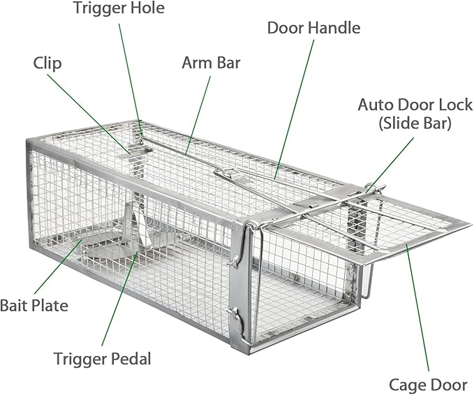 2-Pack Chipmunk Traps Humane Live Mouse Rat Cage Traps for Indoor and Outdoor Use (Silver)