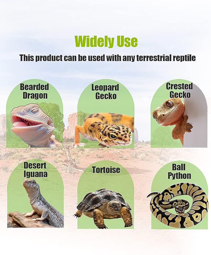 Bearded Dragon Tank Accessories, Reptile Substrate Floor, Leopard Gecko Tank Liner Mat for 40 Gallon, 20 Gallon, 50 Gallon,75 Gallon Lizard Tank, Green