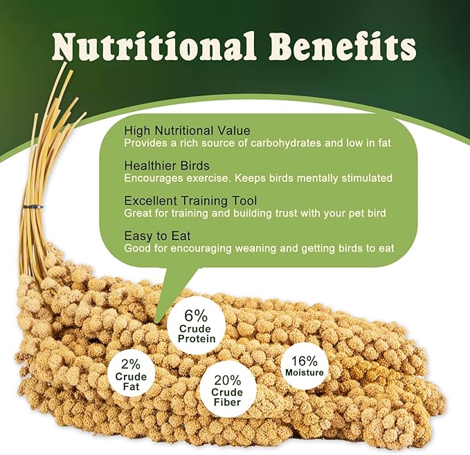 RANZ 5LBS Millet Spray for Birds, GMO-Free, Sun Dried Spray Millet, Original Bird Treats & Supplement for Parrots, Cockatiels, Lovebirds, Painted Buntings and Finches, Parakeets Food