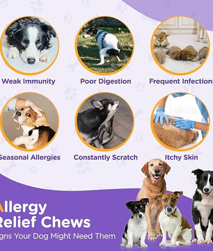 Allergy Relief Chews for Dogs - Omega 3 Skin & Coat Supplement with Colostrum & Probiotics - Itch Relief for Dogs, Dry Skin, Paw Licking, Seasonal Allergies,Chicken Flavor,100 Large Chews