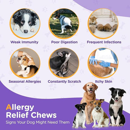 Allergy Relief Chews for Dogs - Omega 3 Skin & Coat Supplement with Colostrum & Probiotics - Itch Relief for Dogs, Dry Skin, Paw Licking, Seasonal Allergies,Chicken Flavor,100 Large Chews