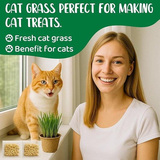 5Pack Cat Grass Seeds Kit - Cat Grass Seeds Growing Set for Indoor Cats, Non GMO Wheat Seed, Nutrient Soil & Planting Tools, Quick Germination, Perfect for Beginners