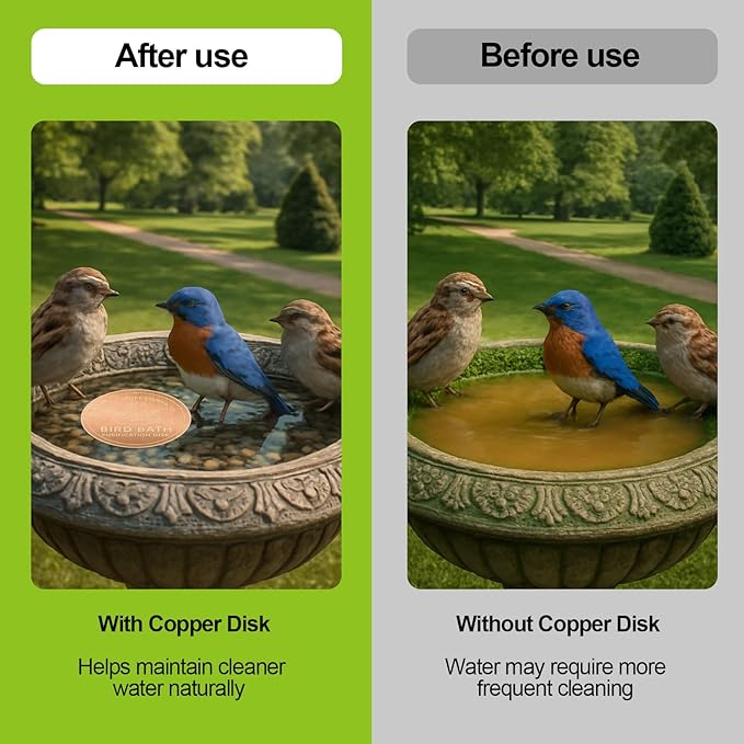 Copper Bird Bath Purification Disk,0.6mm Reinforced 99.9% Pure Copper Cleaning Disk Keeps Water Fresh for Bird Baths, Fountains, Ponds (1 Pack)