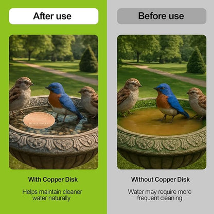 Copper Bird Bath Purification Disk,0.6mm Reinforced 99.9% Pure Copper Cleaning Disk Keeps Water Fresh for Bird Baths, Fountains, Ponds (1 Pack)